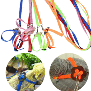 Adjustable Soft Polyester Harness and Leash for Rabbits, Guinea Pigs & Chinchillas – Small Pet Outdoor Lead Rope