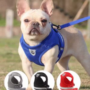 Adjustable Dog Harness and Leash Set for Small Dogs – Puppy Vest for French Bulldog, Chihuahua, Pug & Cats