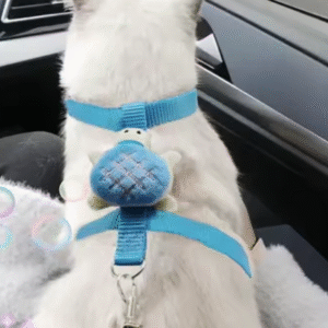 Adjustable Breathable Pet Harness and Leash – Perfect for Small Dogs, Cats, Ferrets, Guinea Pigs & Hedgehogs