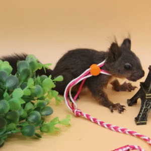 Adjustable Cotton Rope Harness and Leash for Hamsters, Gerbils, Rats & Mice – 1.4m Pet Cage Lead Collar