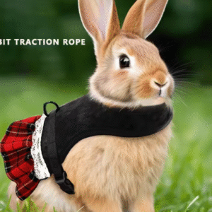 Cute Rabbit Chest Harness and Leash Set with Skirt – Christmas Pet Vest for Rabbits, Cats, and Dutch Pigs