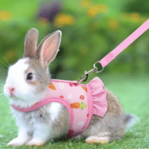 Cute Rabbit Harness with Leash – Adjustable Breathable Mesh Vest and Skirt for Bunnies, Guinea Pigs & Small Pets