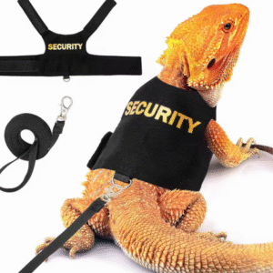 Soft Padded Reptile Leash Harness with Dragon Wings – Adjustable Vest with Hook and Loop for Small Animals
