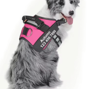 Breathable Adjustable No-Pull Dog Vest Harness – Reflective Pet Harness with Name Collar Patch for Medium and Large Dogs