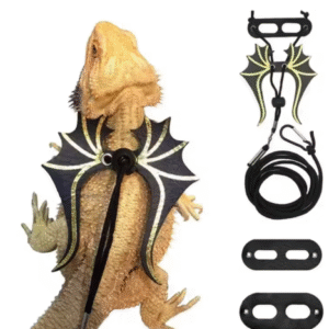 Bearded Dragon Leash and Harness Set – 3-Pack Adjustable Dinosaur Wing Harness for Lizards and Reptiles